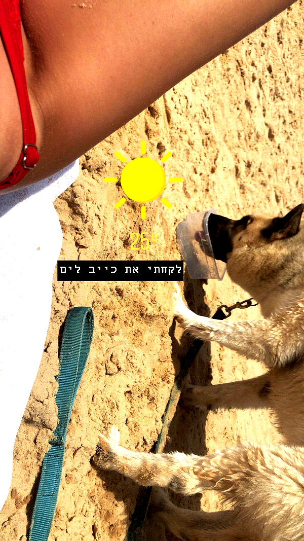 shir_moshe666 instagram image archive image