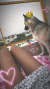shir_moshe666 Altpins Profile Picture