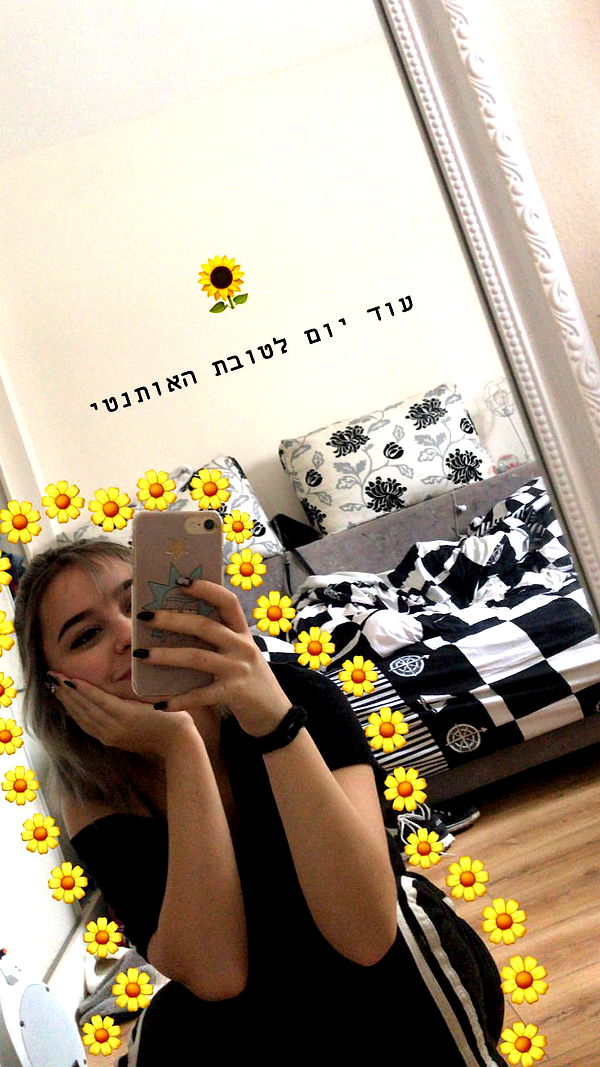 sophia__shemer sophia__shemer archive image