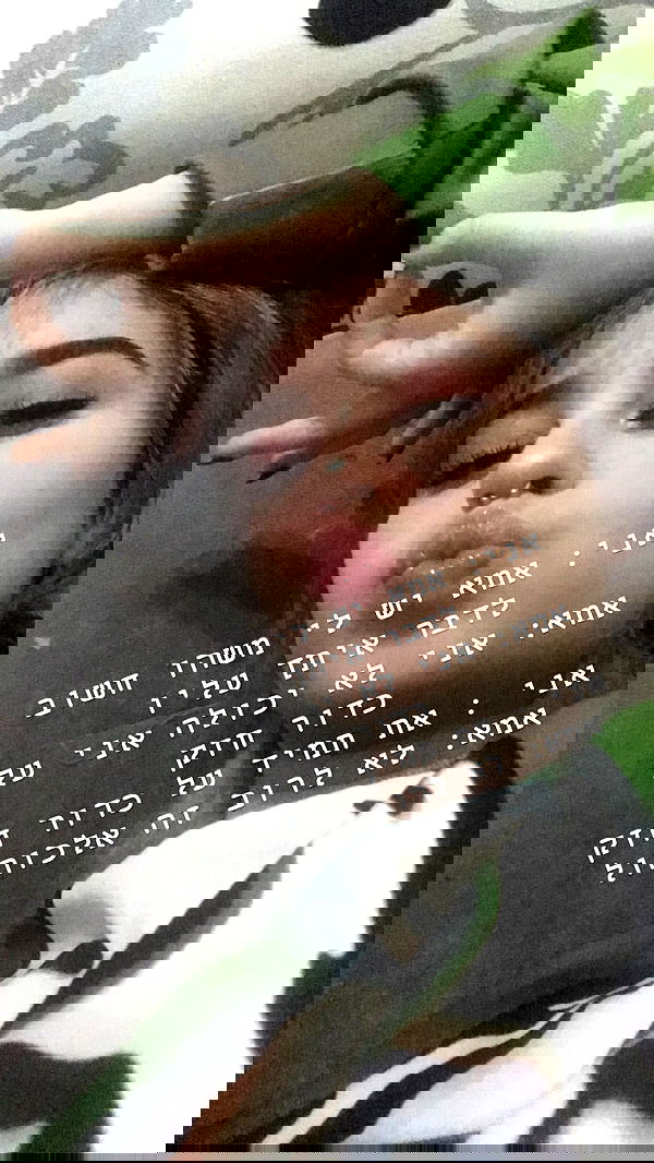 sophia__shemer sophia__shemer archive image