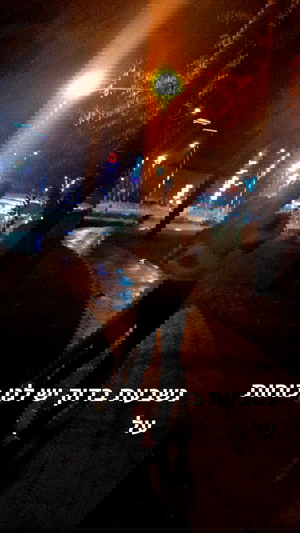 sophia__shemer sophia__shemer archive image