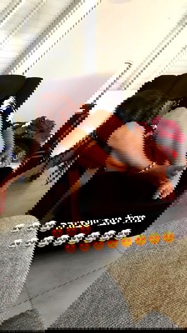 sophia__shemer sophia__shemer archive image