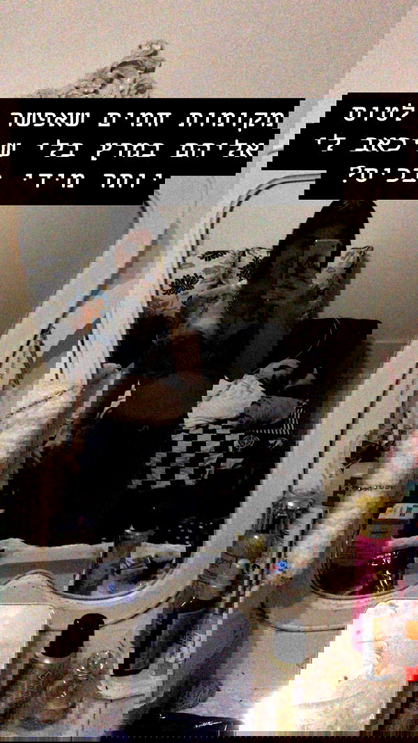 sophia__shemer sophia__shemer archive image