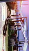 talyadahann Altpins Profile Picture