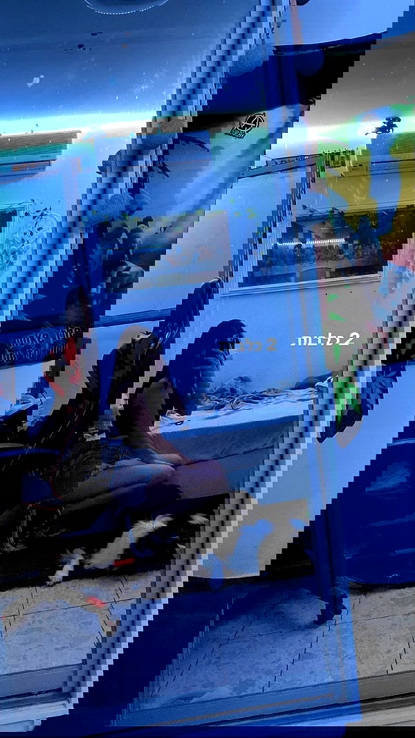 tehilash__ tehilash__ archive image