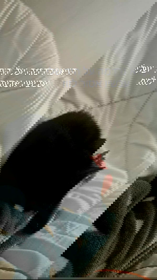 tinapavlov.sky tinapavlov.sky archive image