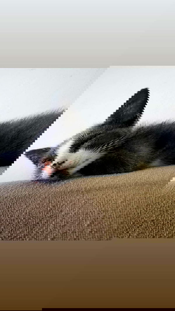 tinapavlov.sky tinapavlov.sky archive image