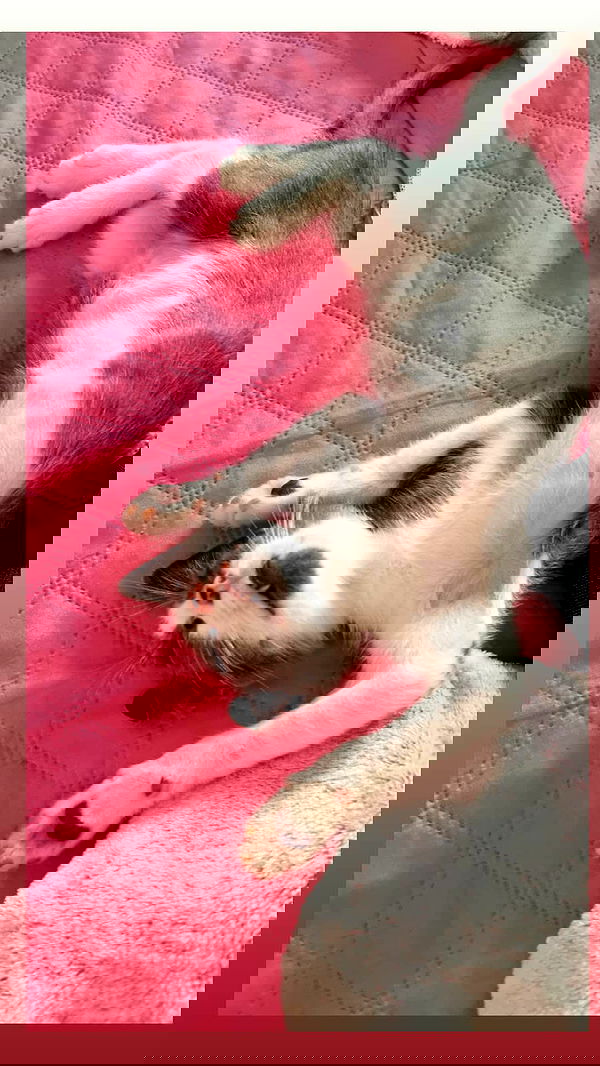 tinapavlov.sky tinapavlov.sky archive image