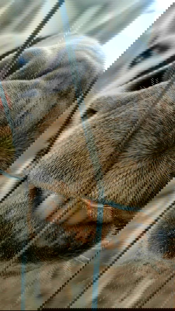 tinapavlov.sky tinapavlov.sky archive image