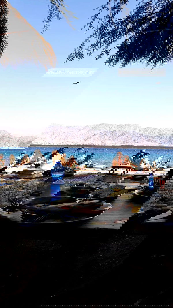 tinapavlov.sky tinapavlov.sky archive image