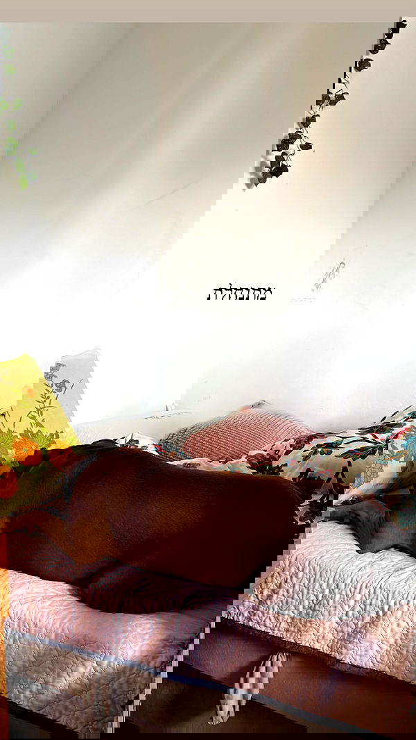 tinapavlov.sky tinapavlov.sky archive image