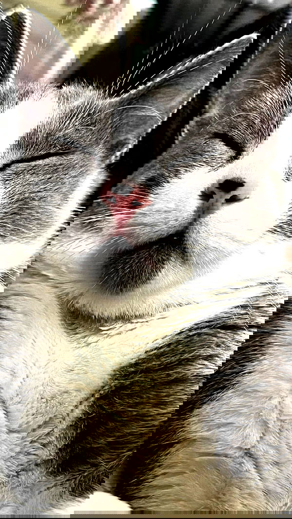 tinapavlov.sky tinapavlov.sky archive image