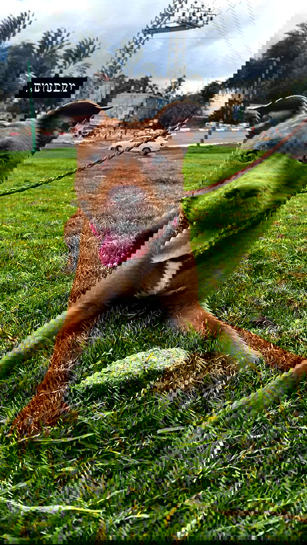 tinapavlov.sky tinapavlov.sky archive image