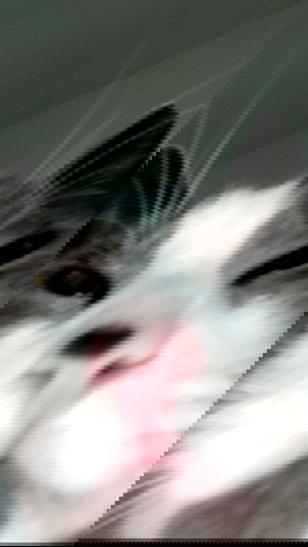 tinapavlov.sky tinapavlov.sky archive image