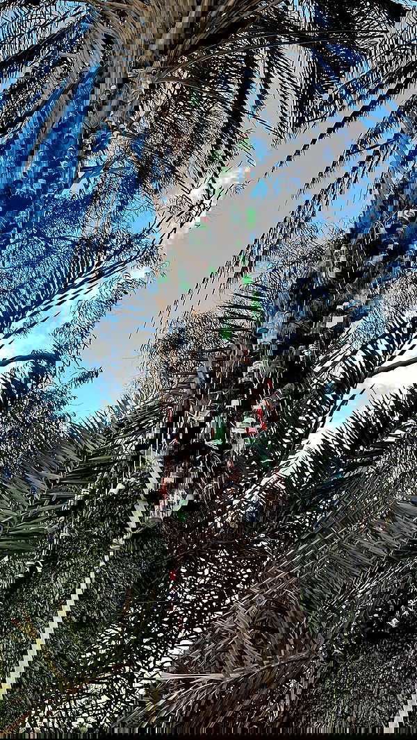 tinapavlov.sky tinapavlov.sky archive image