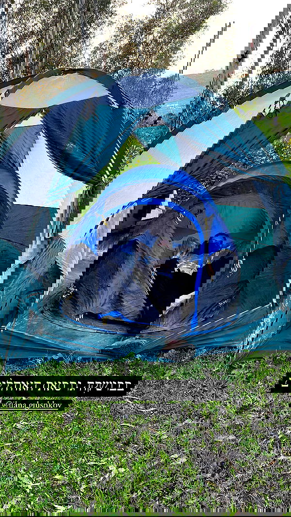 tinapavlov.sky tinapavlov.sky archive image