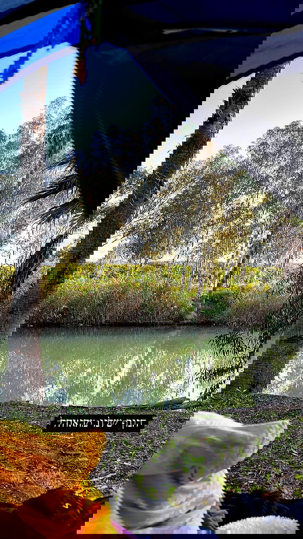 tinapavlov.sky tinapavlov.sky archive image