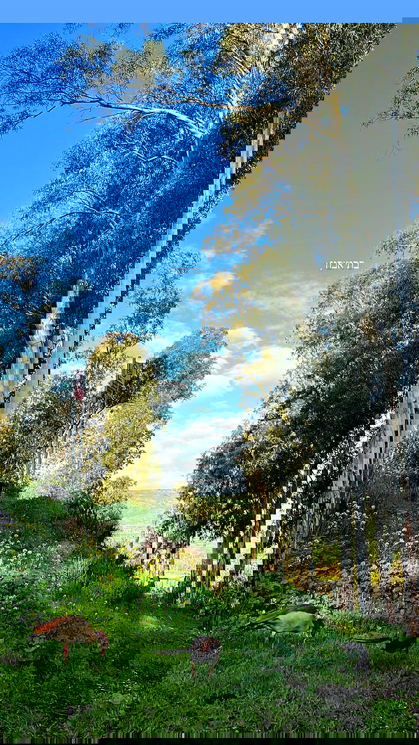 tinapavlov.sky tinapavlov.sky archive image