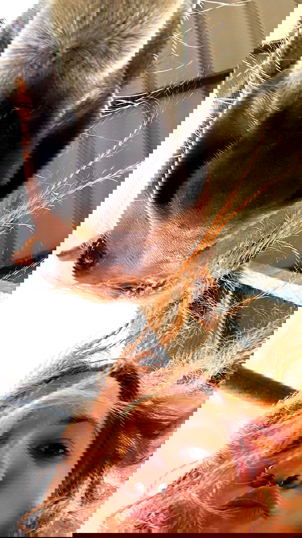 tinapavlov.sky tinapavlov.sky archive image