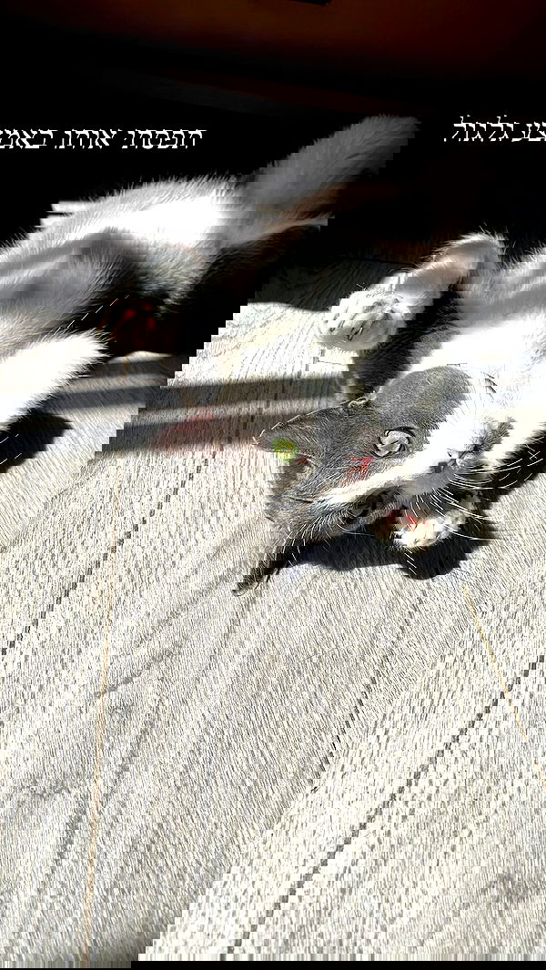 tinapavlov.sky tinapavlov.sky archive image