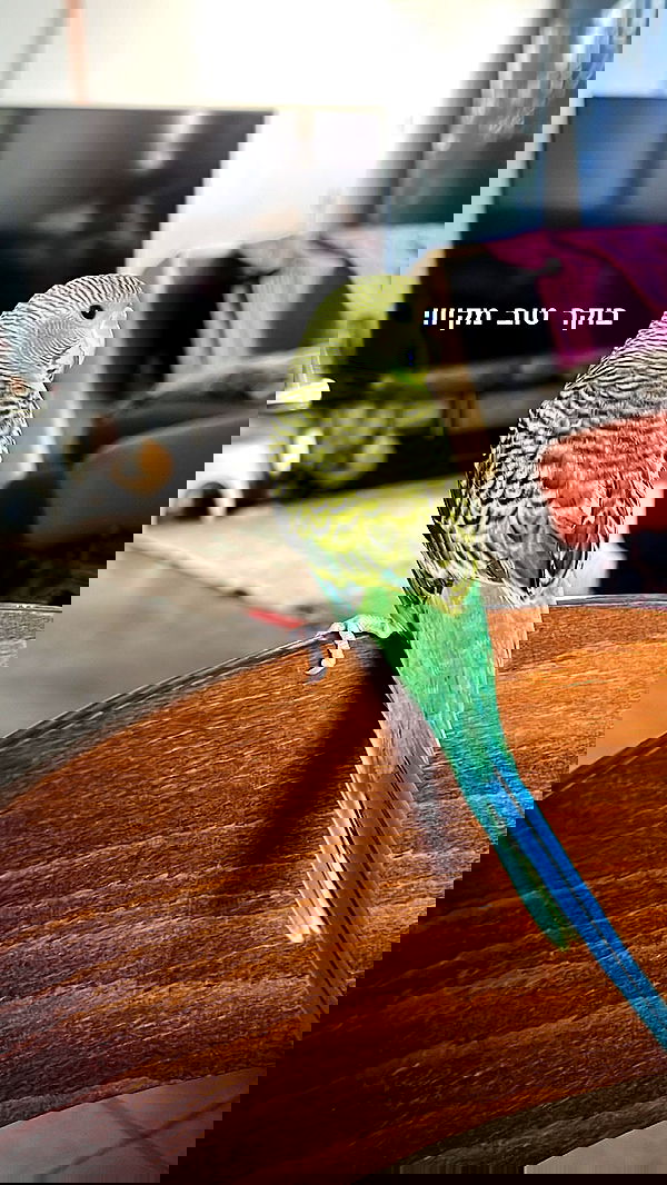 tinapavlov.sky tinapavlov.sky archive image