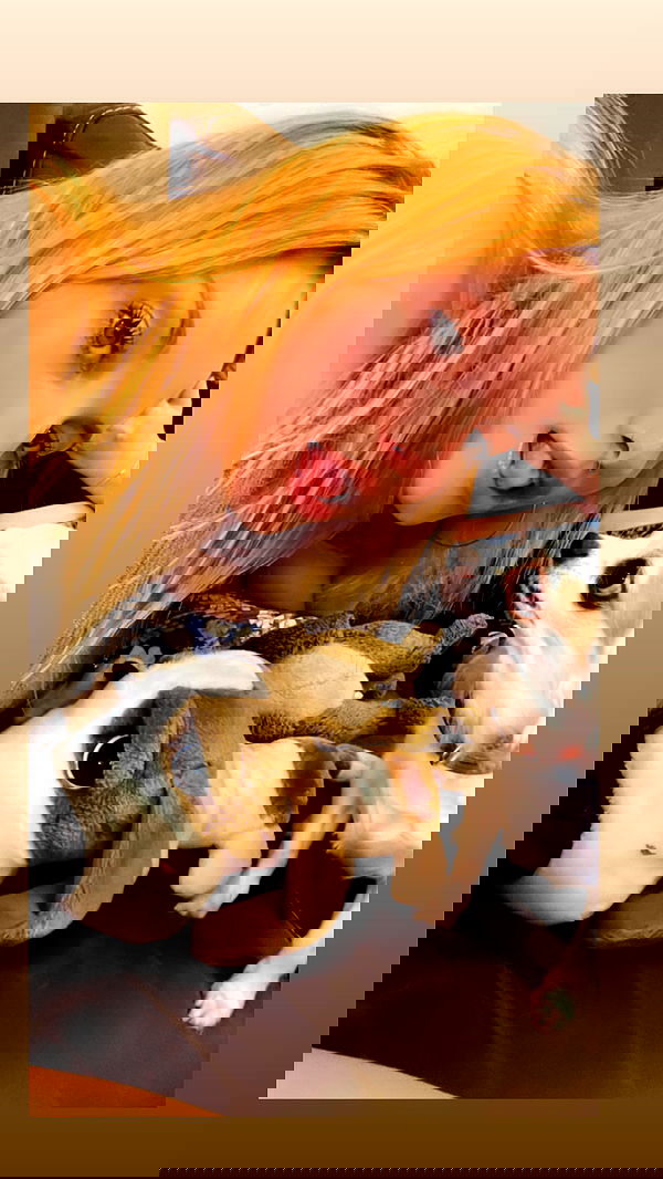 tinapavlov.sky tinapavlov.sky archive image