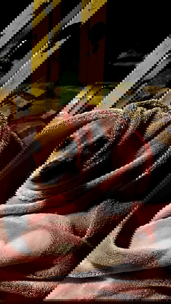 tinapavlov.sky tinapavlov.sky archive image