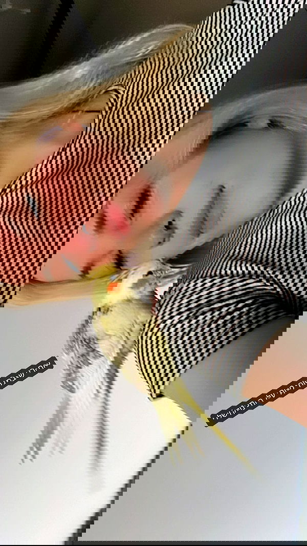 tinapavlov.sky tinapavlov.sky archive image