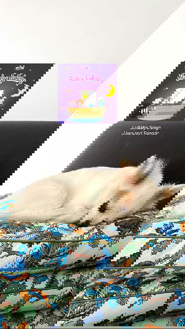 tinapavlov.sky tinapavlov.sky archive image