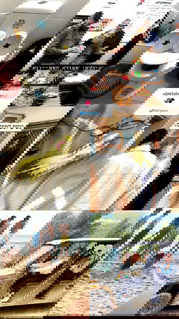 tinapavlov.sky tinapavlov.sky archive image