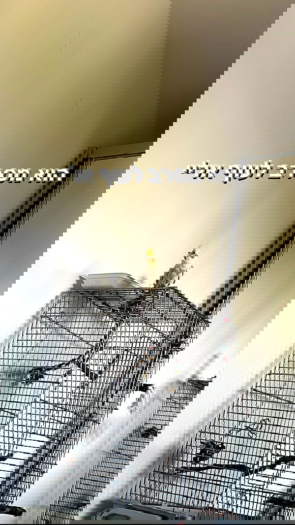 tinapavlov.sky tinapavlov.sky archive image