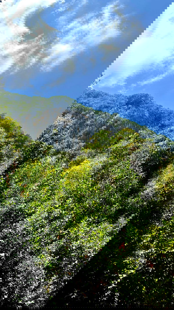 tinapavlov.sky tinapavlov.sky archive image