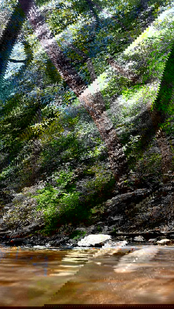 tinapavlov.sky tinapavlov.sky archive image