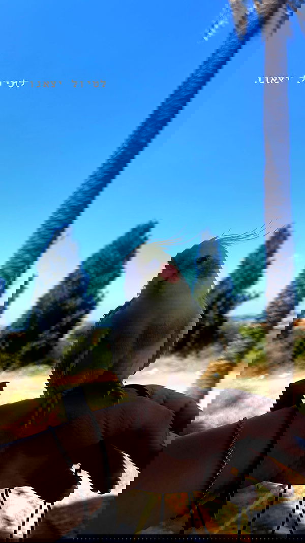 tinapavlov.sky tinapavlov.sky archive image