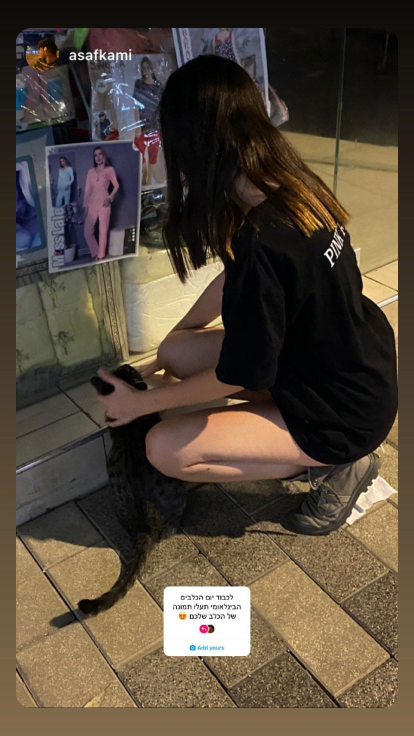 tuliish_ instagram image archive image