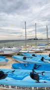 viol.gubin Altpins Profile Picture