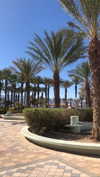 viol.gubin Altpins Profile Picture