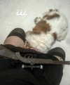 xsurio Altpins Profile Picture