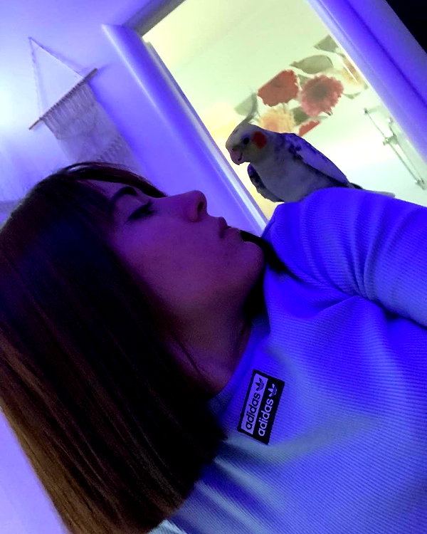 xsurio instagram image archive image