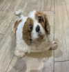 xsurio Altpins Profile Picture