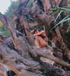 xsurio Altpins Profile Picture