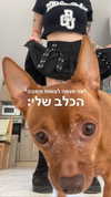 yana.ack Altpins Profile Picture