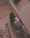 yasmin_hen Altpins Profile Picture