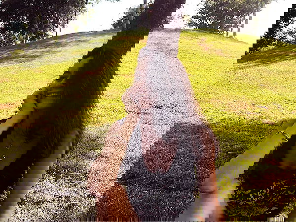 yasmin_kb yasmin_kb archive image