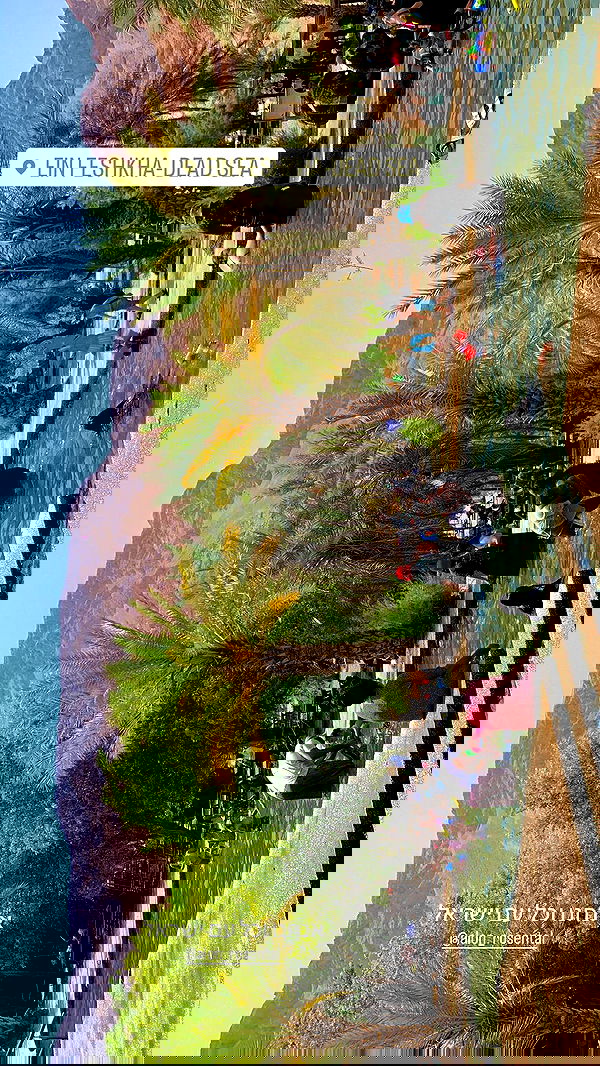 yasmin_kb yasmin_kb archive image