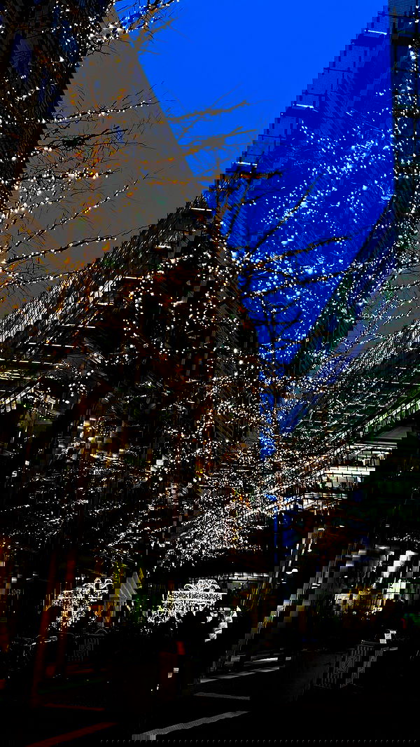 yasmin_kb yasmin_kb archive image