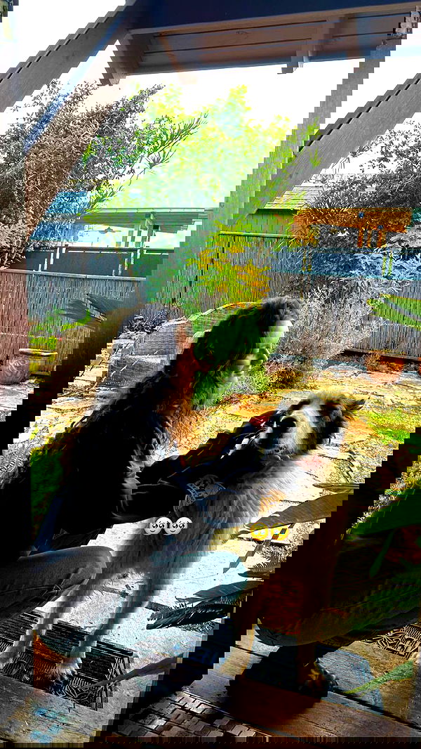 yasmin_kb yasmin_kb archive image