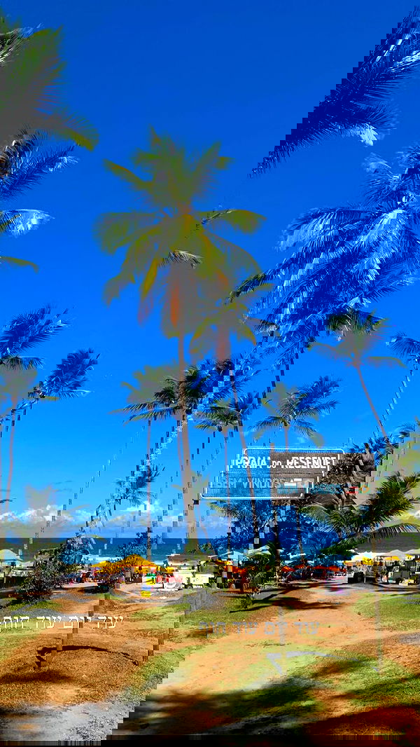 yasmin_kb yasmin_kb archive image