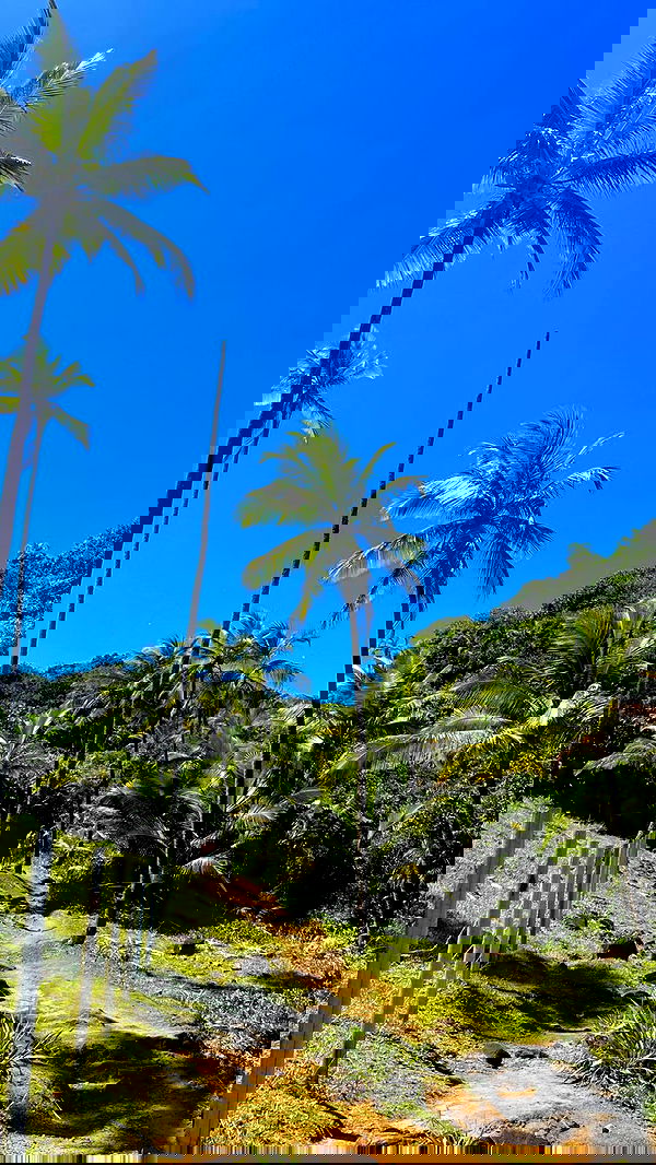 yasmin_kb yasmin_kb archive image