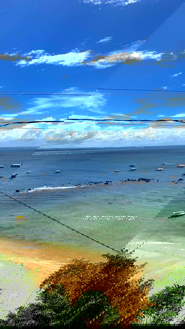 yasmin_kb yasmin_kb archive image